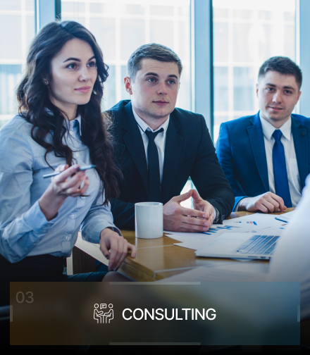 Consulting