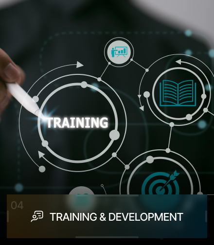 Training & Development